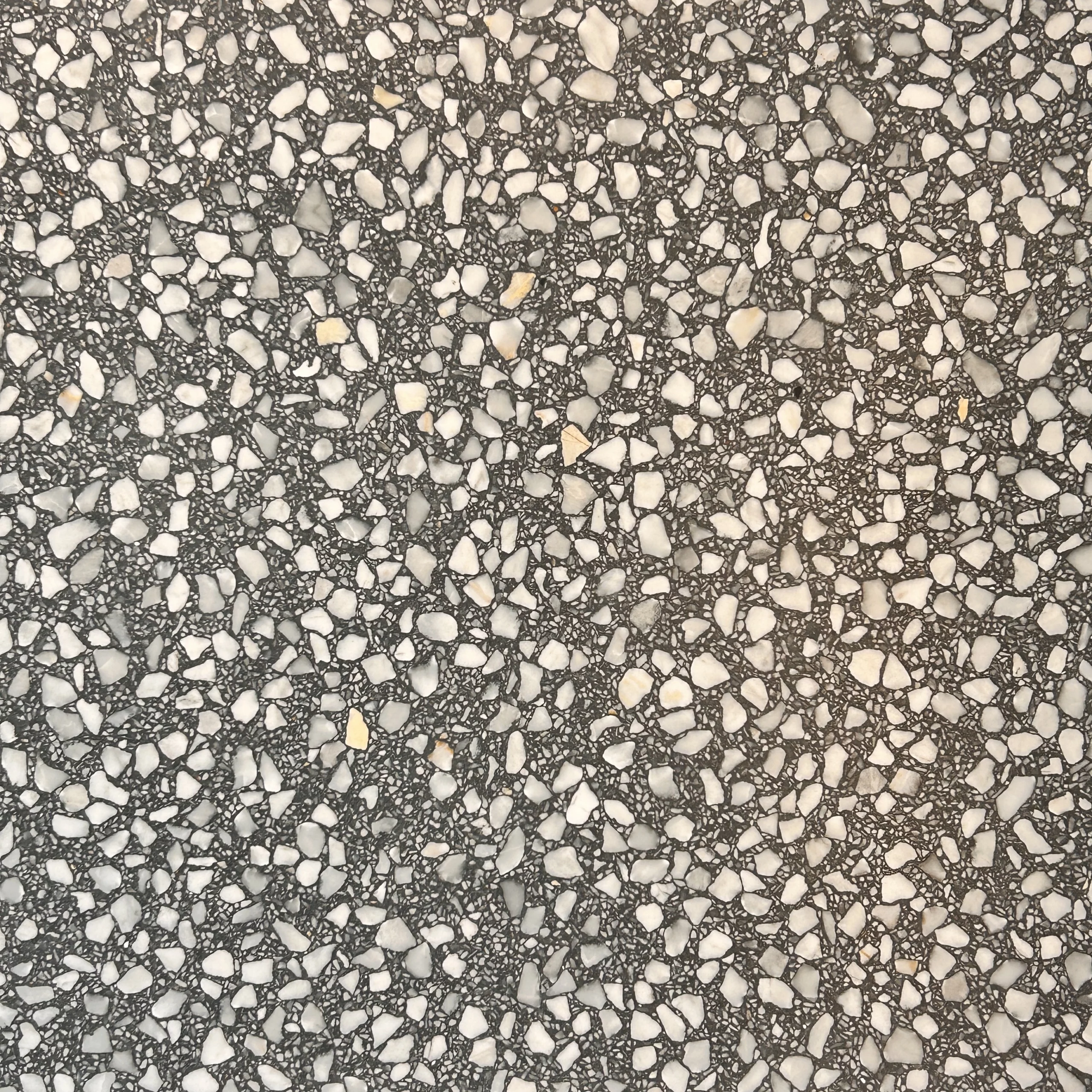 Musterstück Terrazzo Fliese Nuuk, dunkelgrauer Grund mit vielen weißen Körnern